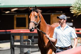 Highlight Lot 859 (Vadamos x Silke Top) purchased for $185,000. 